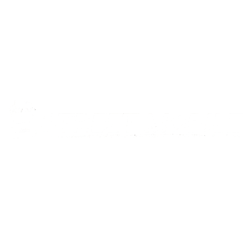 STREET MOBILE Logo